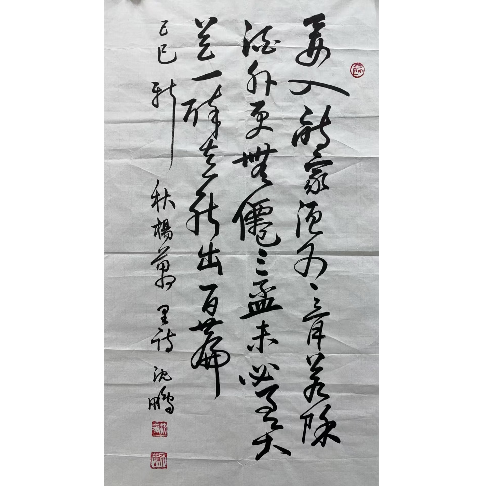 沈鹏款绘画书法画心100.50 4.5平尺