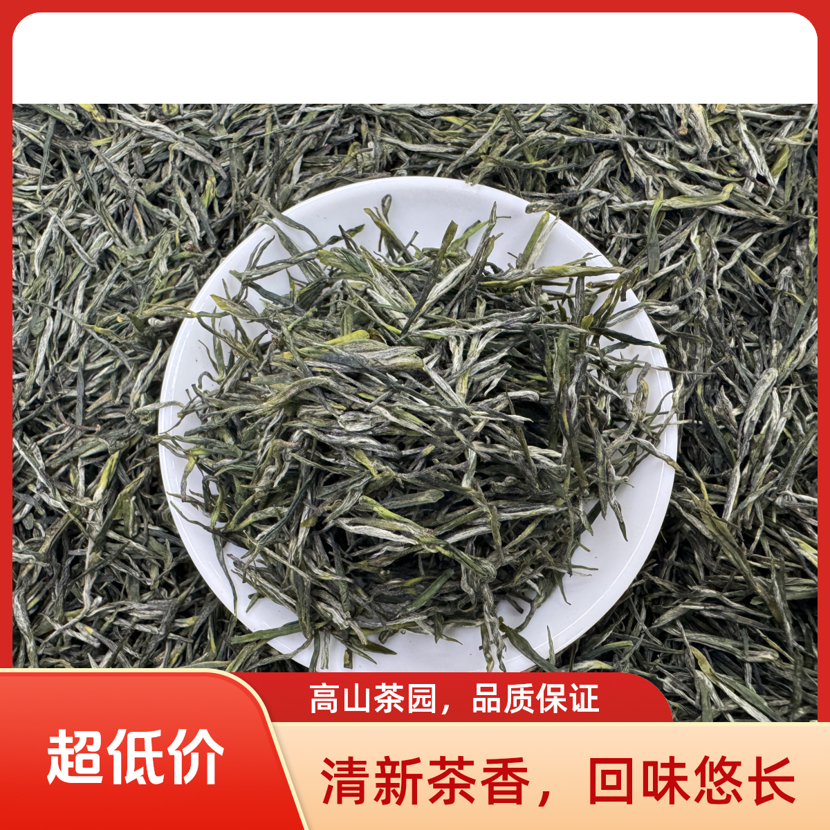 信阳毛尖2025年新茶明前头采原产地直销高山茶鲜嫩耐泡