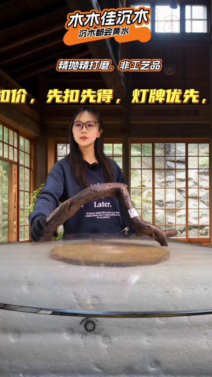 丸*头木木佳沉木鱼缸造景738