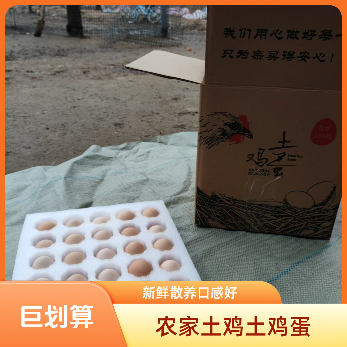 安徽农家散养土鸡姜家柱溜达土鸡蛋整箱装100枚