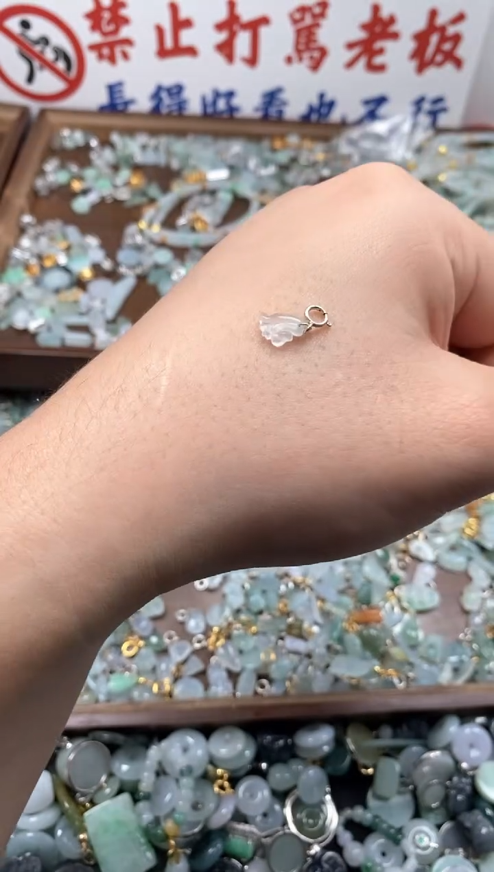 【闪购商品】翡翠颈饰未镶嵌新年快乐！