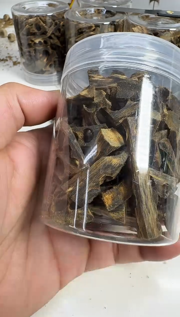 沉香碎屑沉香奇楠沉香碎料50克沉水