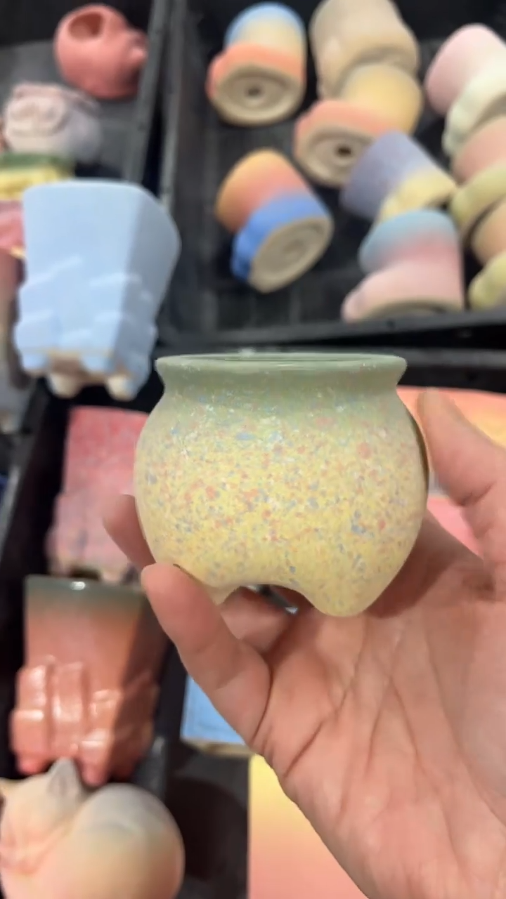 【闪购商品】红陶6*5