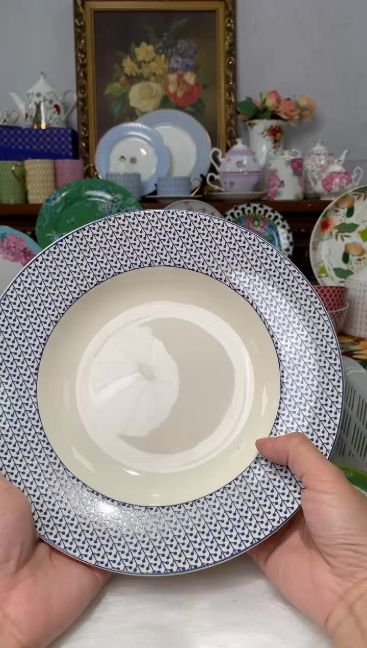 【闪购商品】瓷片CC209陶瓷没有完美无瑕陶瓷1个样汤盘