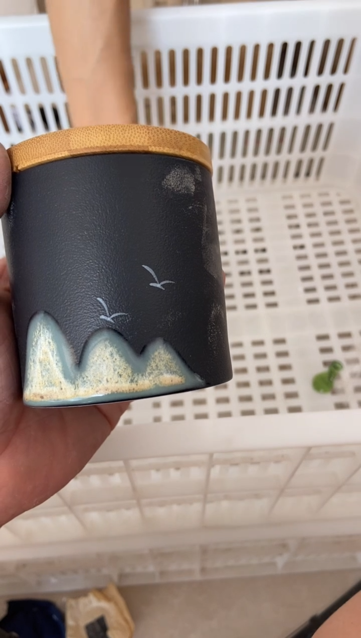 杯无运费险有瑕疵的摄影的产品有使用过的痕迹有点脏介意勿拍