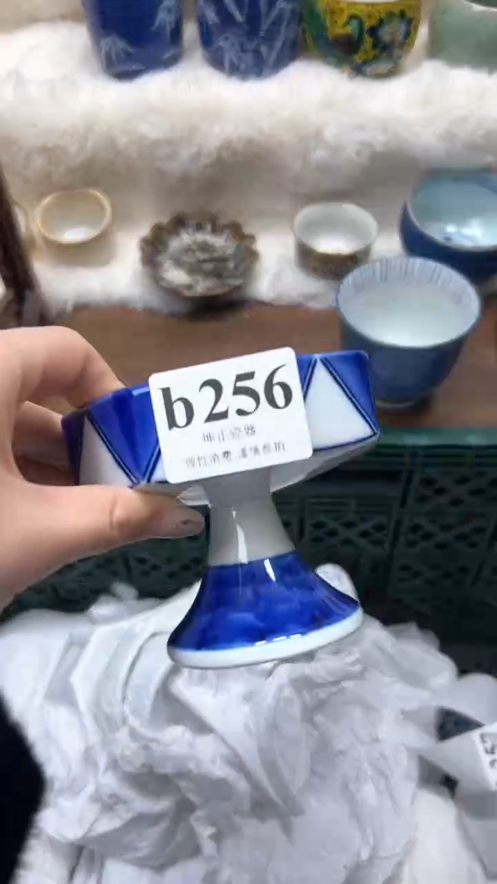 【闪购商品】瓷片          b256