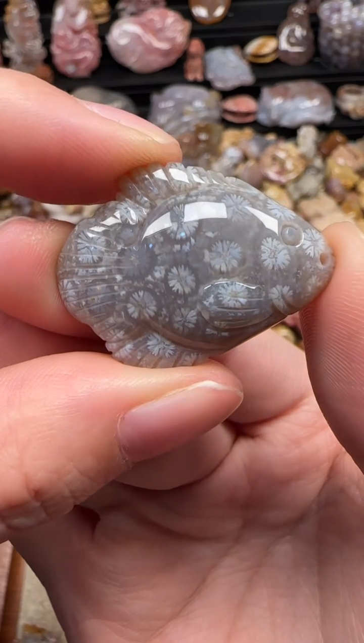 颈饰未镶嵌硅化珊瑚（珊瑚玉）681