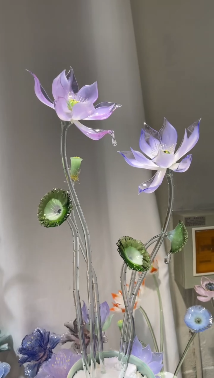 琉璃61荷花     
