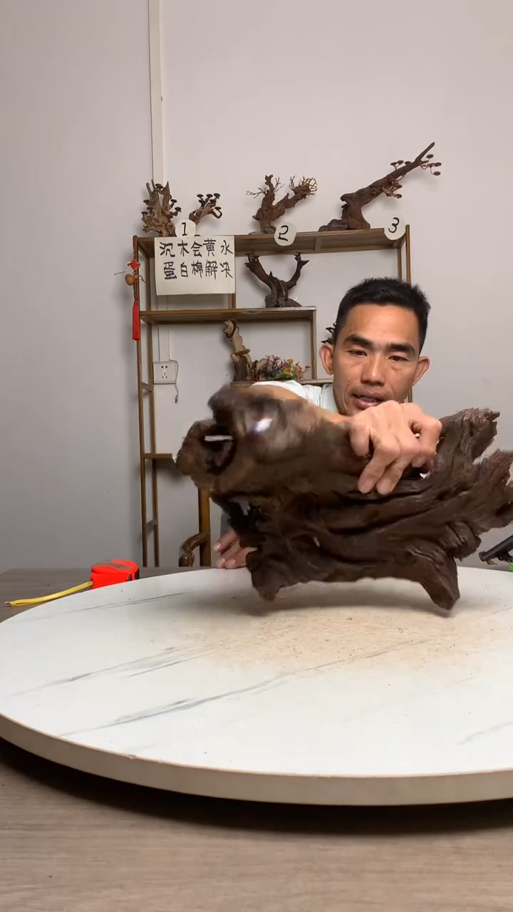 喜**?鱼缸造景沉木摆件