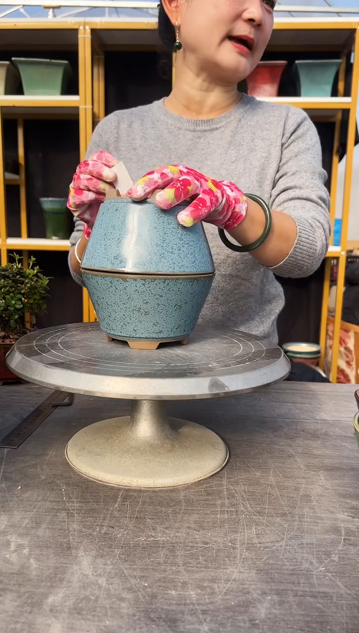 吕*多55号2盆微瑕组合