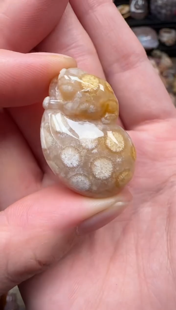 颈饰未镶嵌硅化珊瑚（珊瑚玉）151