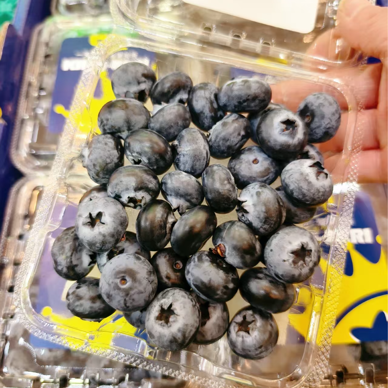 云南花香蓝莓/1盒/金钻鲜果/四平同城配送云南省