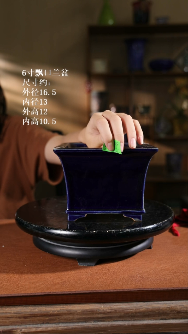 【限时买三免一活动】6寸飘口兰盆735