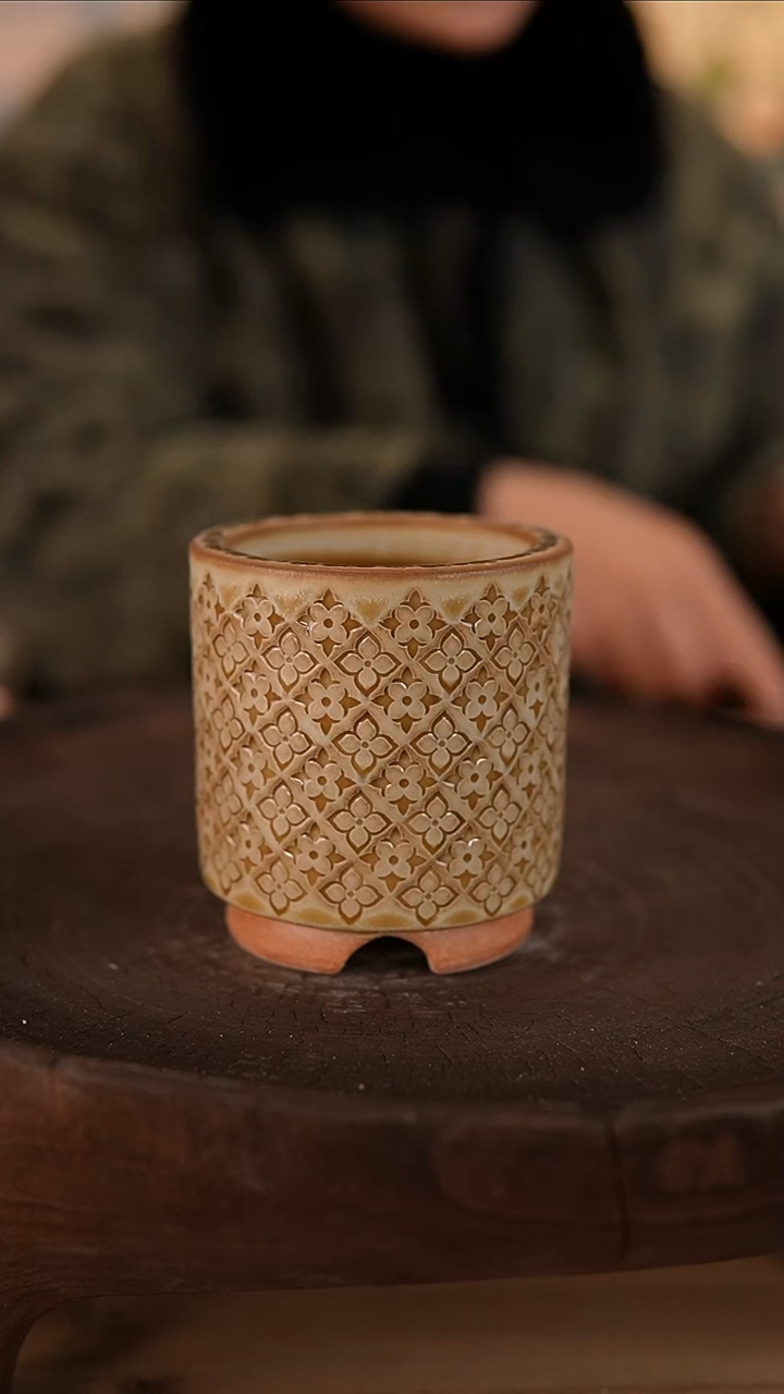 【闪购商品】红陶1-16-404默认微瑕口