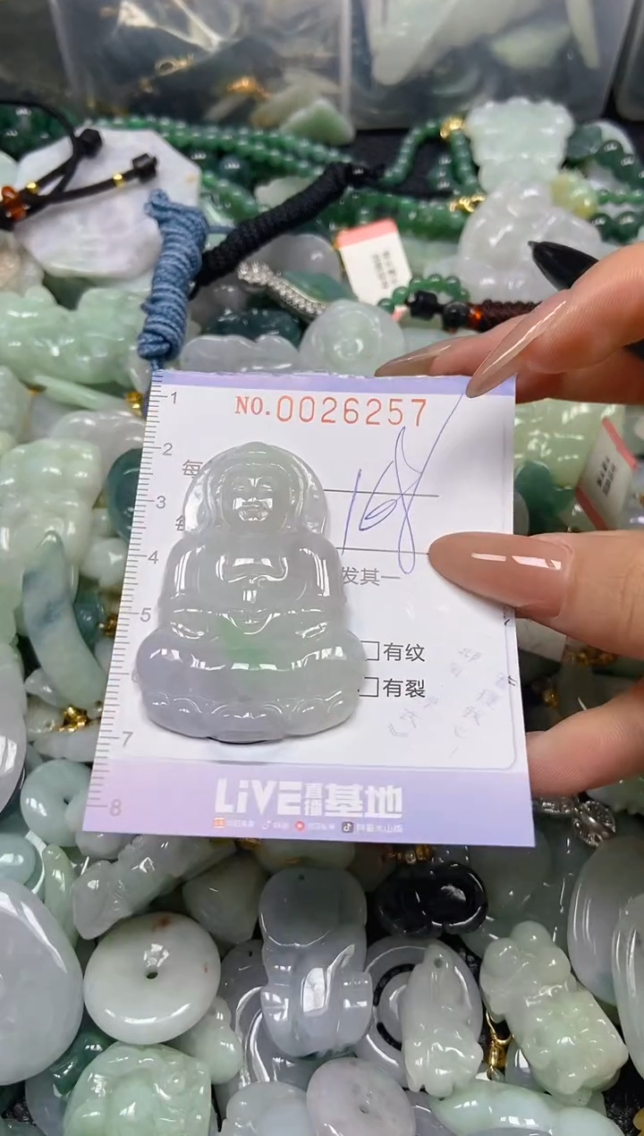 【闪购商品】翡翠颈饰未镶嵌闪购0026257