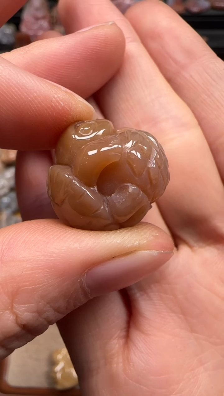 【闪购商品】硅化珊瑚（珊瑚玉）颈饰未镶嵌759