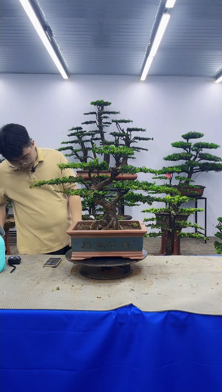 无花朵一物一拍，所见即所得