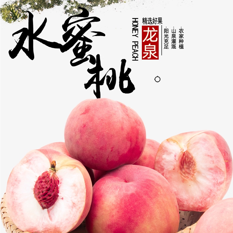 【次日达】正宗龙泉山应季桃子新鲜采摘爆甜多汁【川渝贵阳次日达 顺丰包邮 】四川省