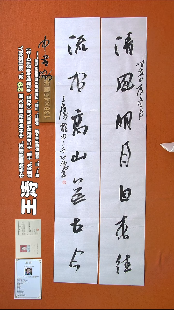 【闪购商品】书法356王涛书法作品