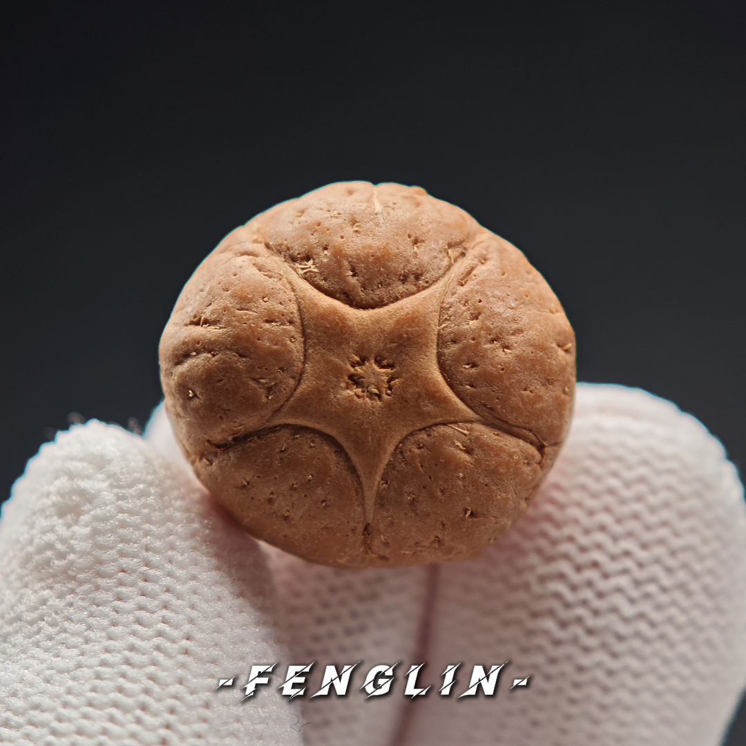 「枫林出品」“五星三通”尼泊尔凤眼菩提珠串