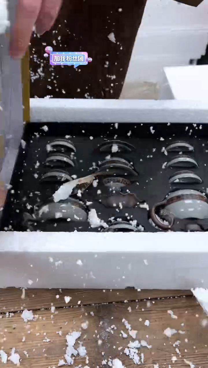 【闪购商品】其他清山陶也商品链接@@