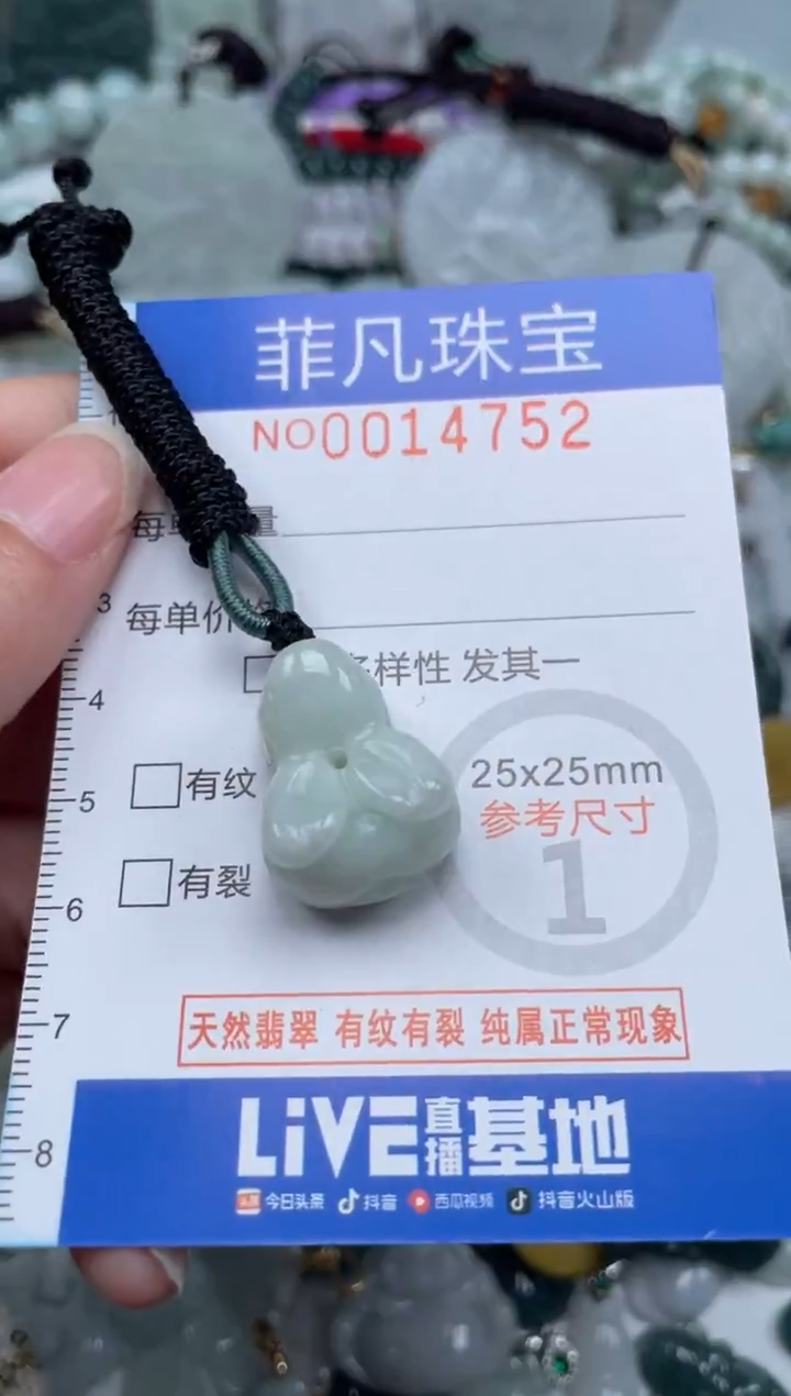 颈饰未镶嵌翡翠14752