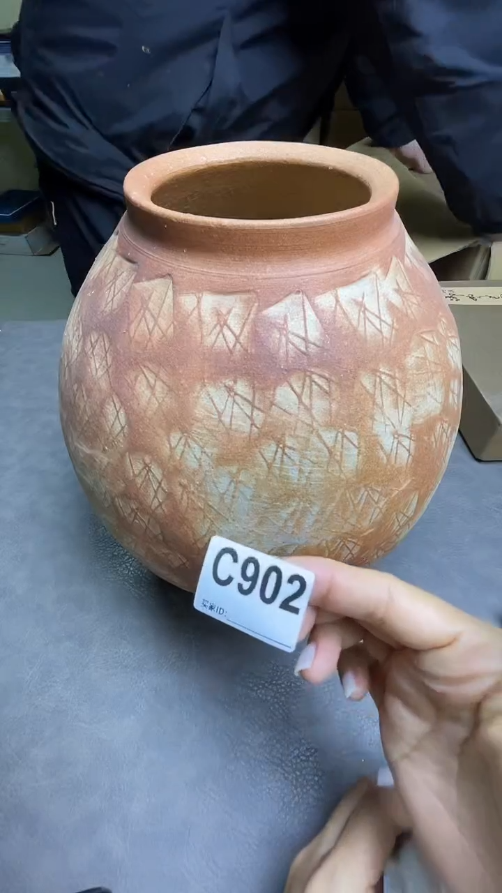 瓷片默认微瑕，谨慎参拍C902花瓶