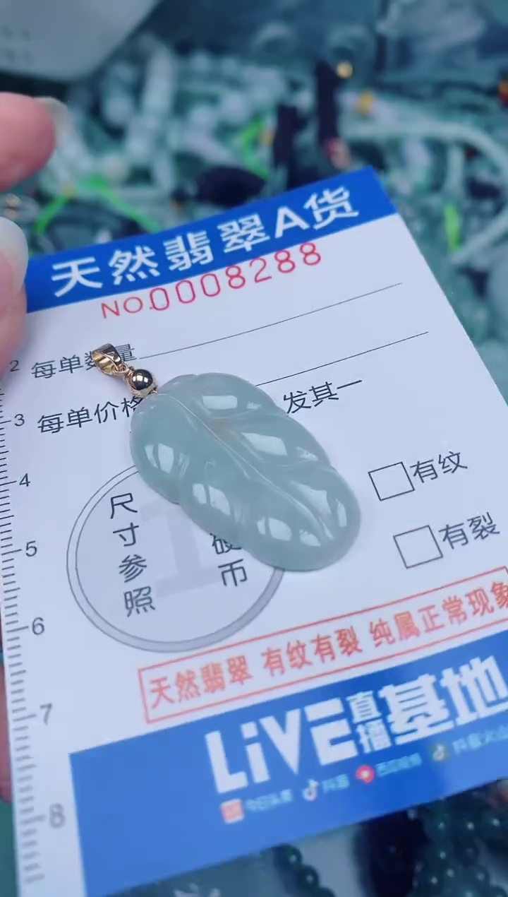 颈饰未镶嵌翡翠00008288