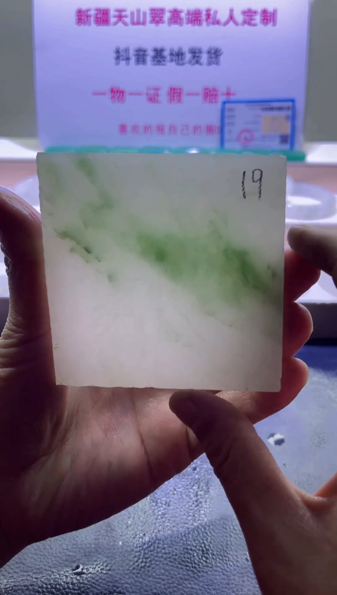 【闪购商品】定制石英质玉（天山翠）0019