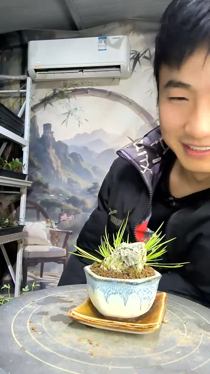 落**鹜中青园艺一物一拍花188