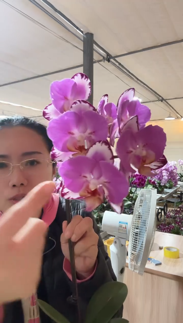 完全开放蝙蝠侠两眼 