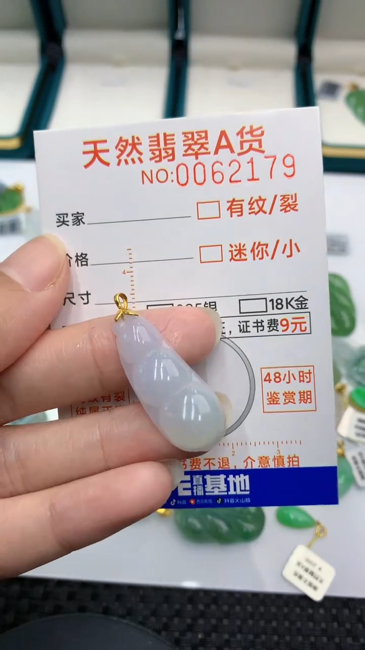【闪购商品】翡翠颈饰18K金镶嵌            8