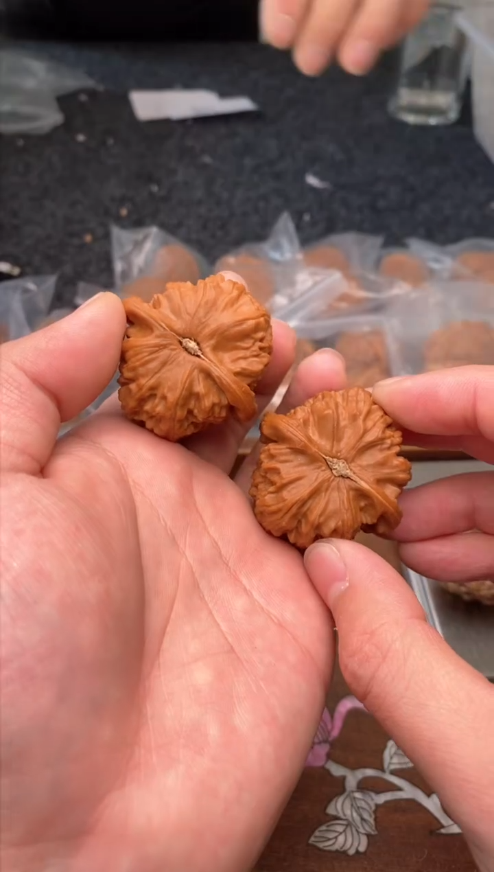 【闪购商品】文玩核桃把件G198号40尺白狮子