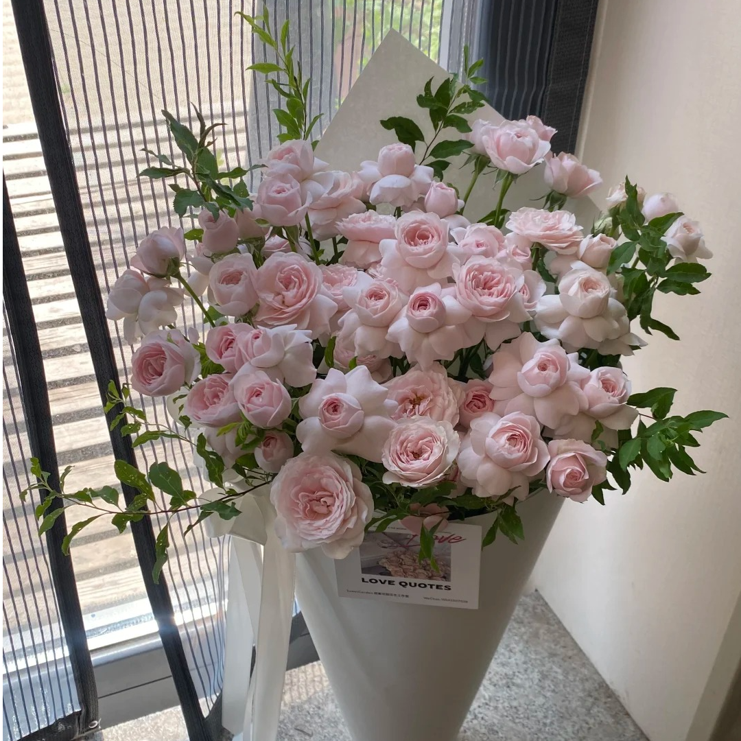 仙子之吻【高级稀有多头】该品不耐运输，请凑单升级快递，保护花花