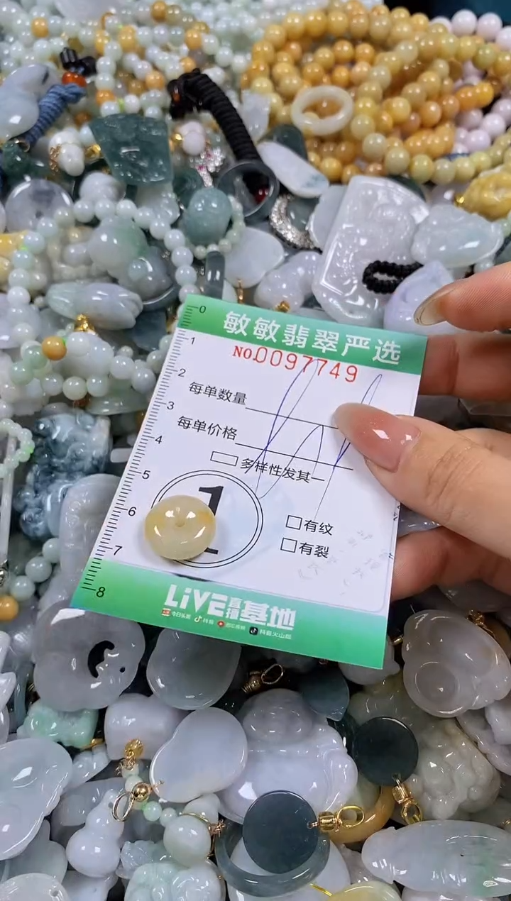 【闪购商品】翡翠颈饰未镶嵌闪购0097749
