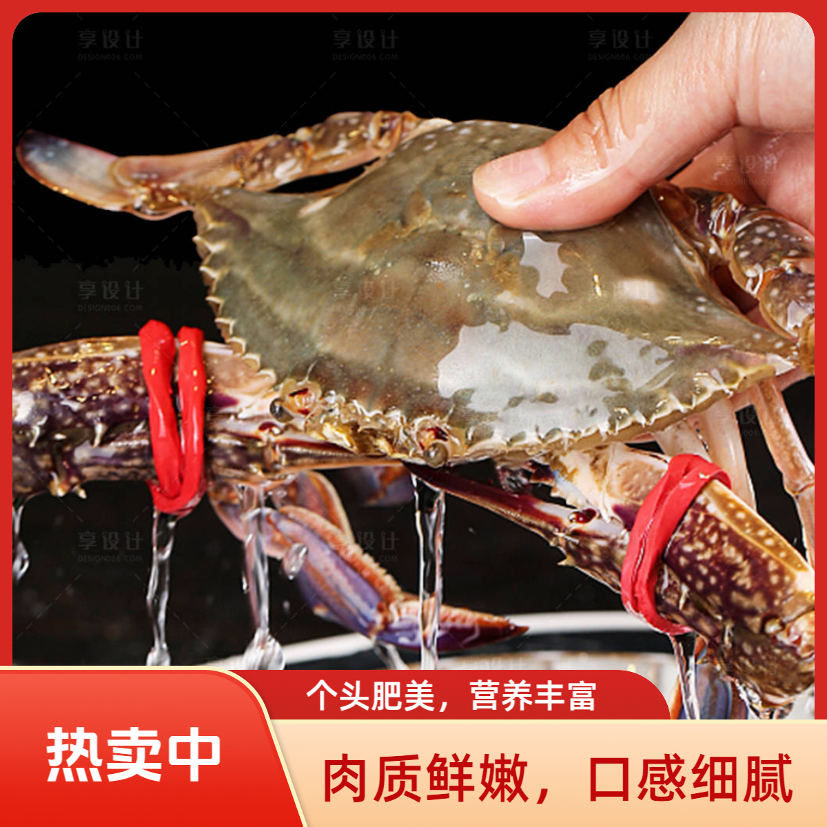 【保鲜不保活】东海海捕野生梭子蟹深海飞蟹鲜活发货3斤5-7两4-6只梭子蟹鲜活梭子蟹905