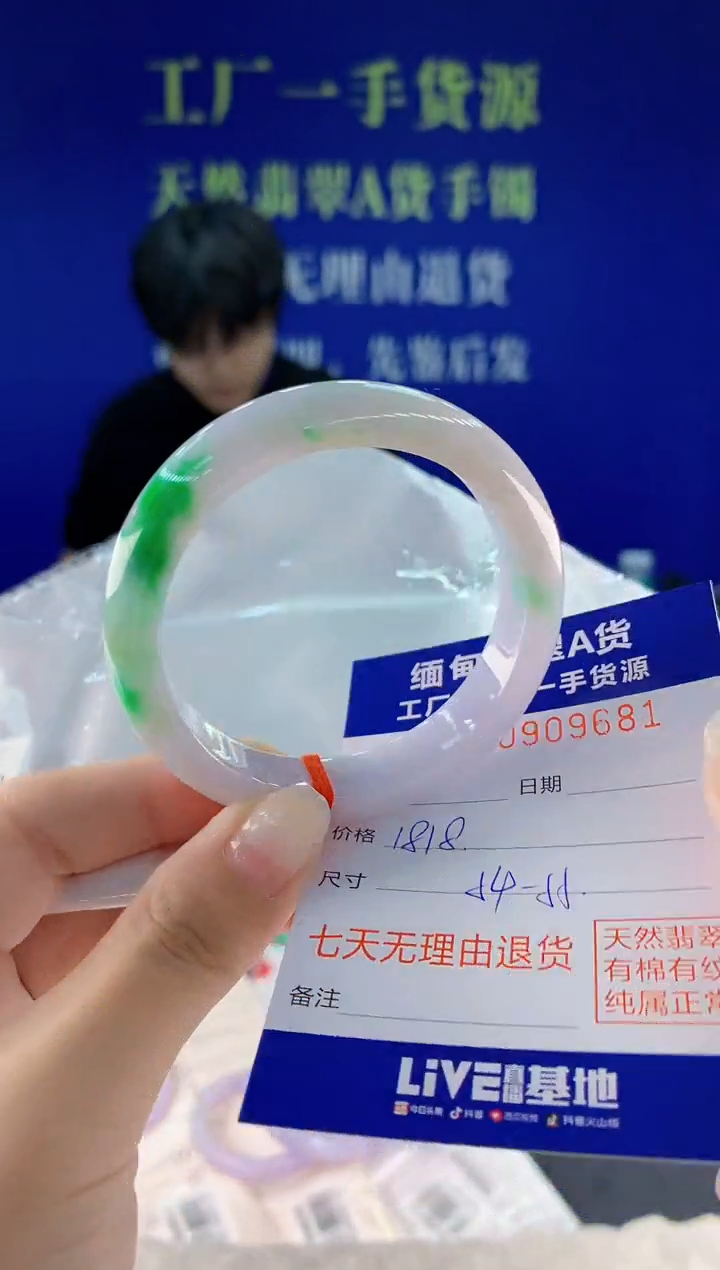 未镶嵌手镯翡翠81