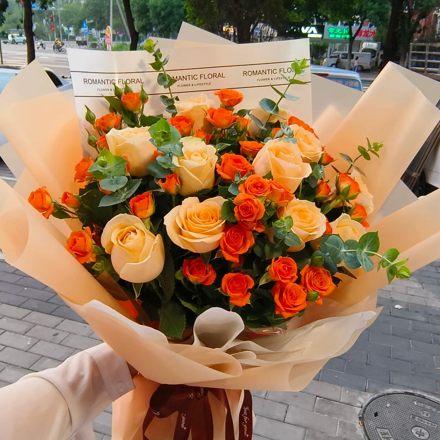 欣然专属『卡布多头3+巧克力泡泡3+高原红5』家居养花 全场两单顺丰包邮 养护教程联系客服