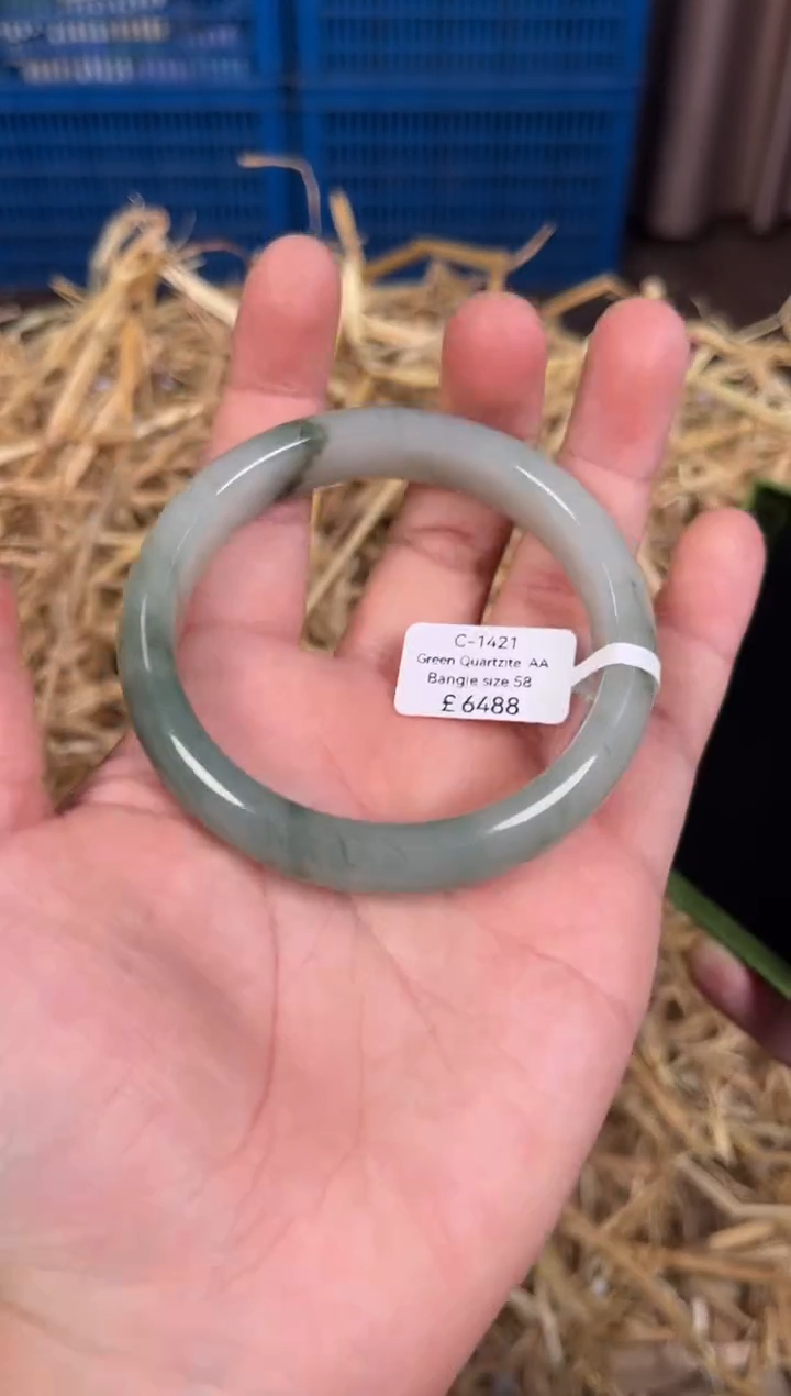 未镶嵌手镯石英质玉C1421