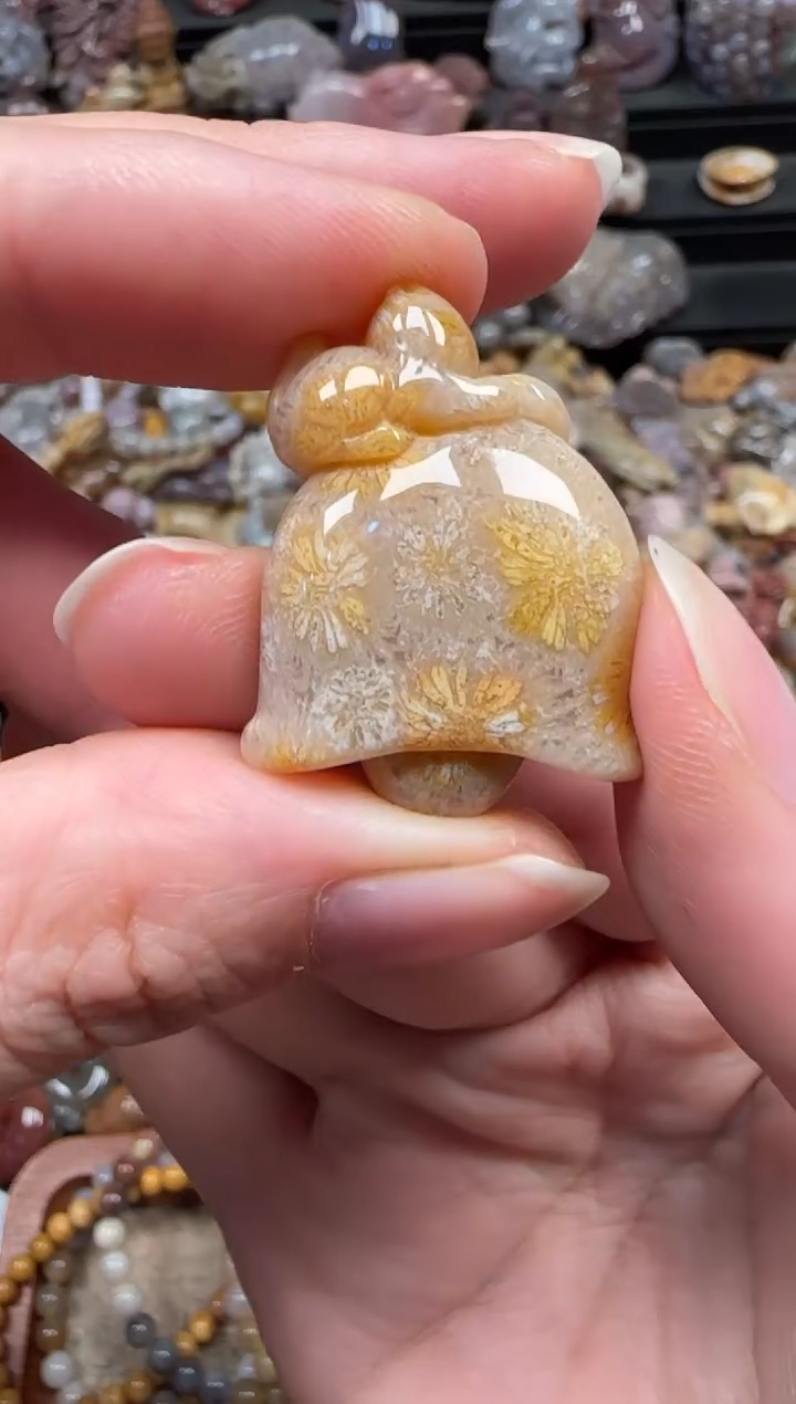 颈饰未镶嵌硅化珊瑚（珊瑚玉）239