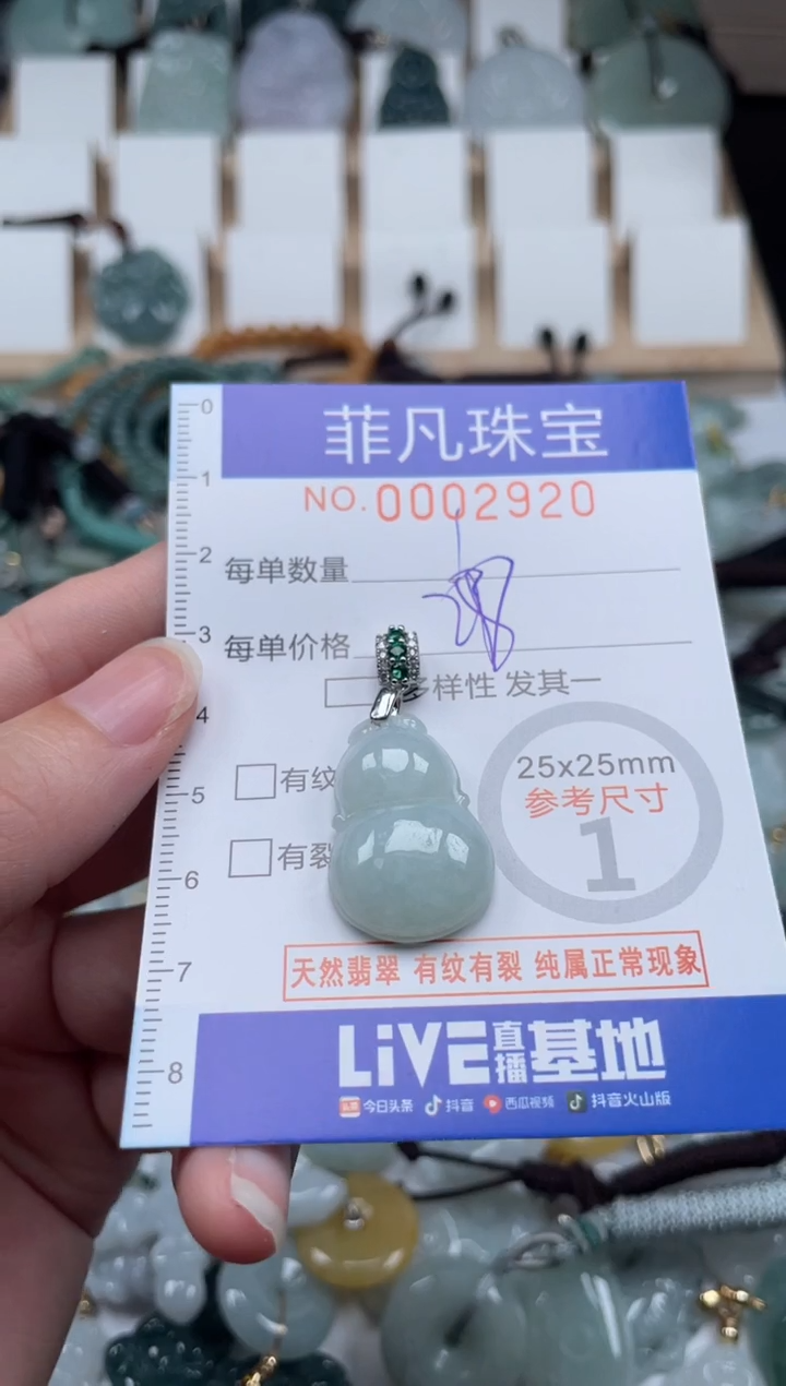 翡翠未镶嵌颈饰00..2920