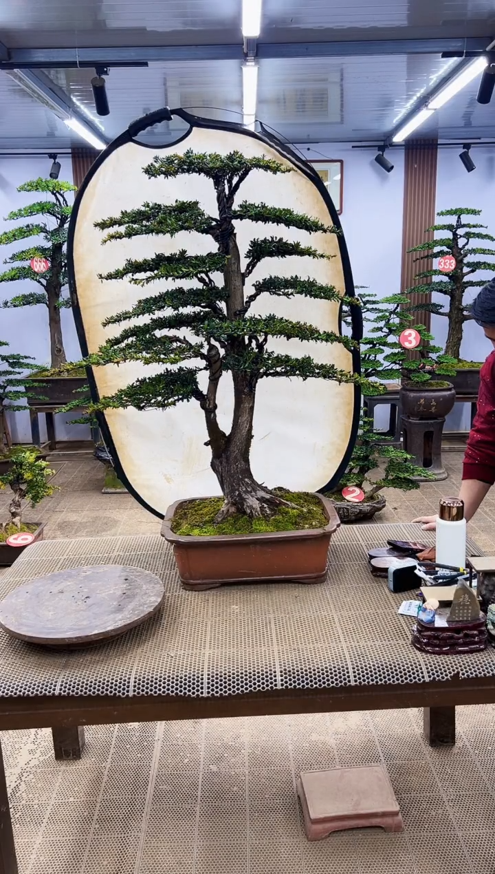 【闪购商品】0000000