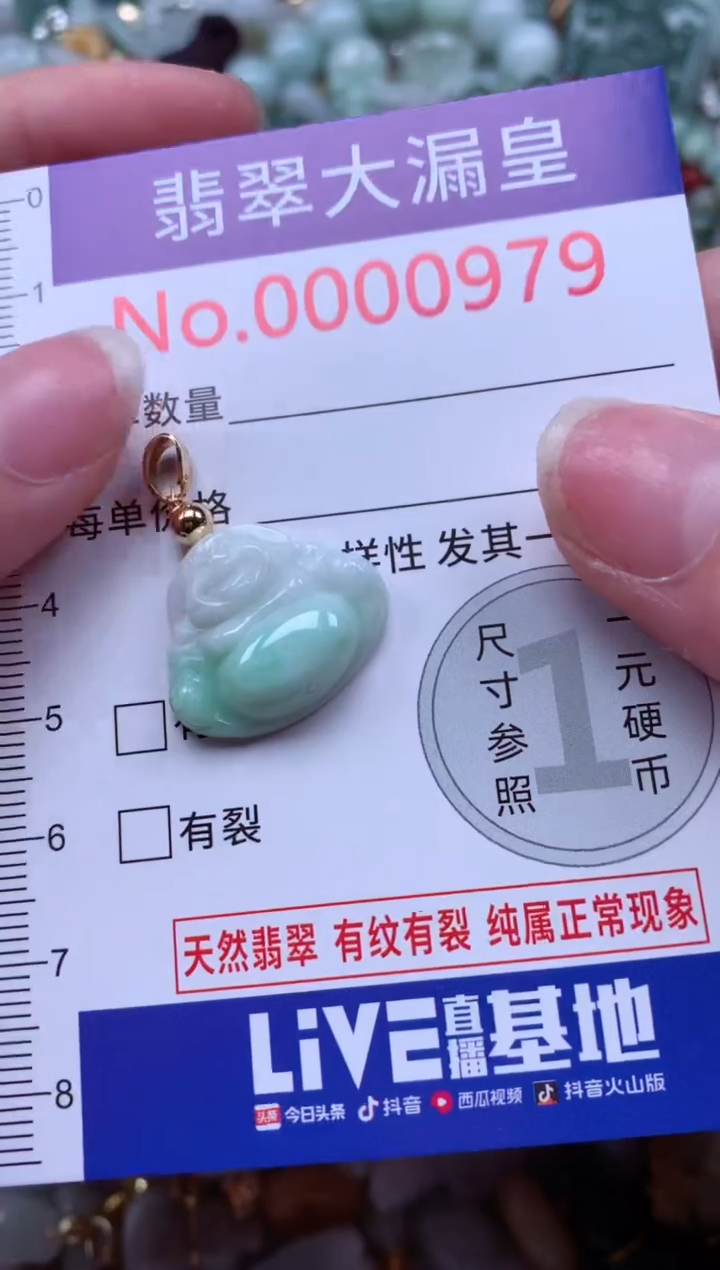 翡翠未镶嵌吊坠(不含链)979