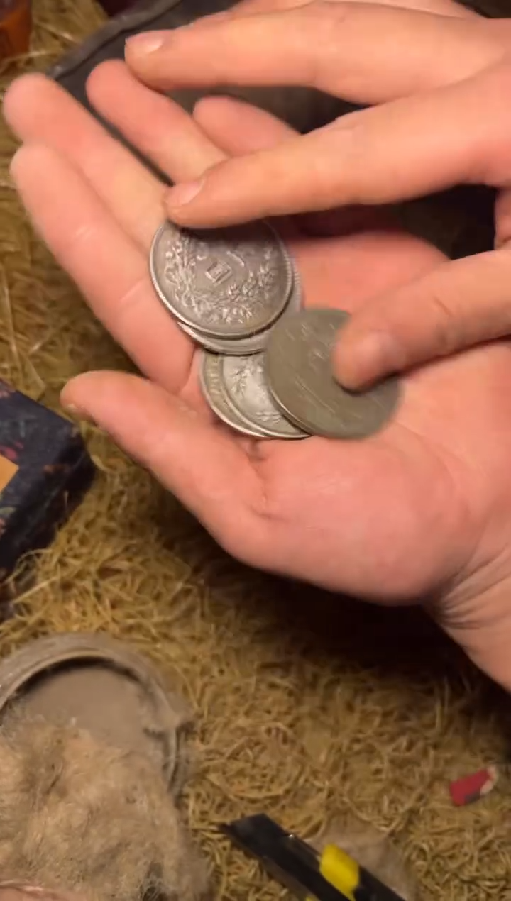 木-福利-------开不含盒布/五个头大