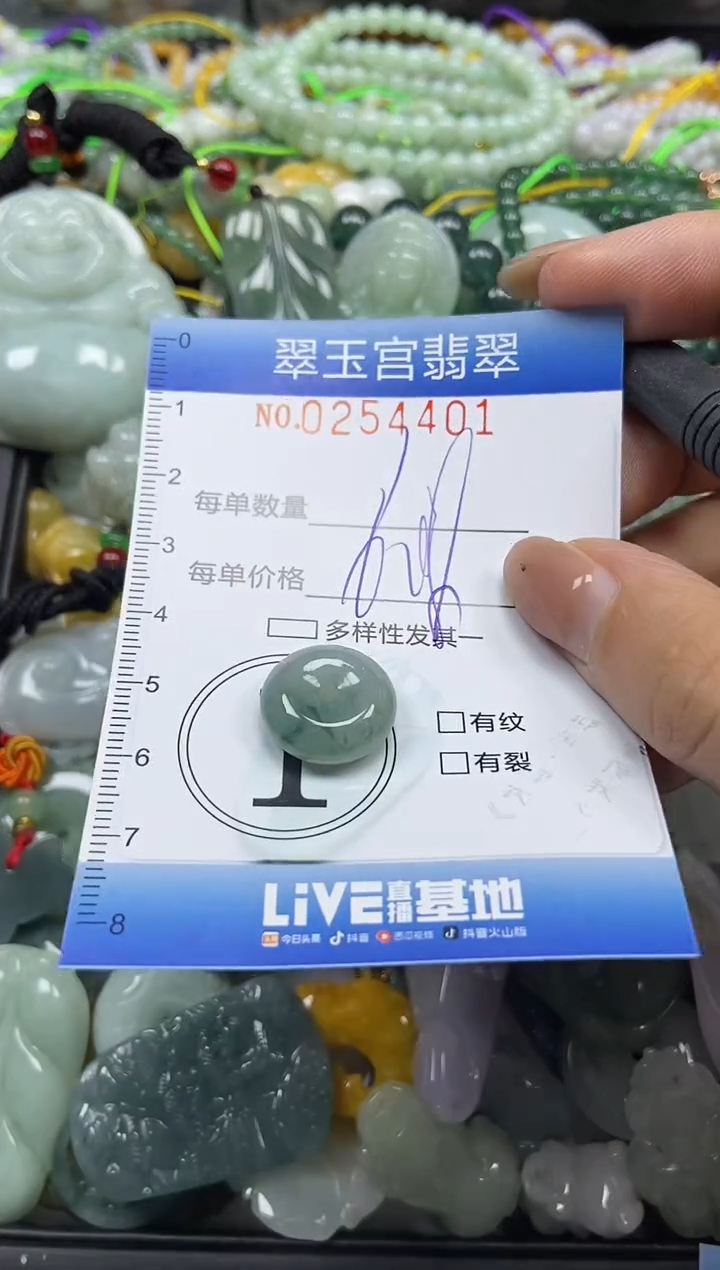 颈饰未镶嵌翡翠闪购C0254401