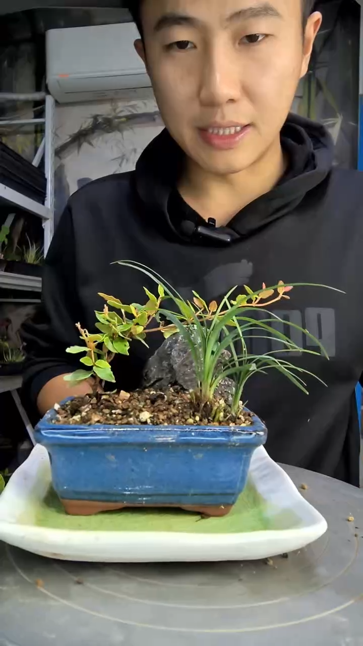 良*三中青园艺一物一拍145