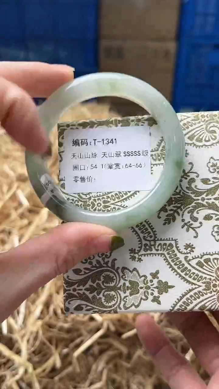 未镶嵌手镯石英质玉T1341