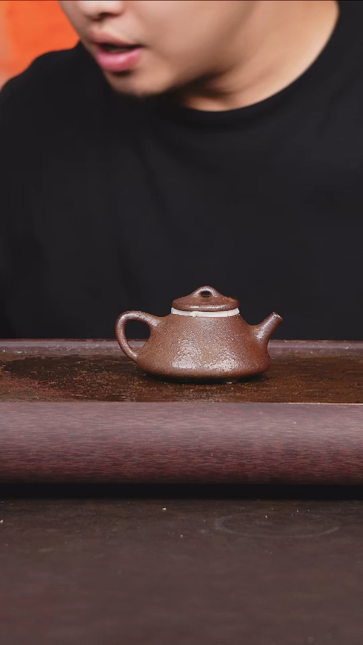 茶壶紫砂柴烧 微瑕石瓢