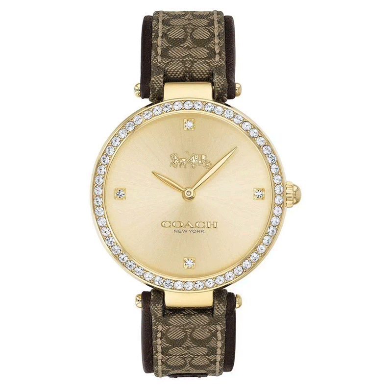 【全球购】COACH/蔻驰Park系列美拉德风皮革石英镶钻表14503456