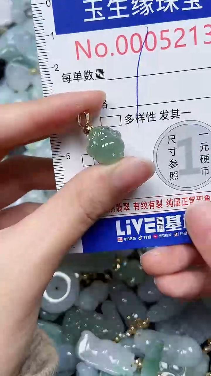 【闪购商品】翡翠颈饰未镶嵌闪购00005213